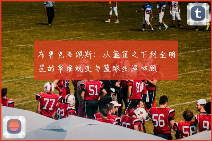 布鲁克洛佩斯：从篮筐之下到全明星的华丽蜕变与篮球生涯回顾