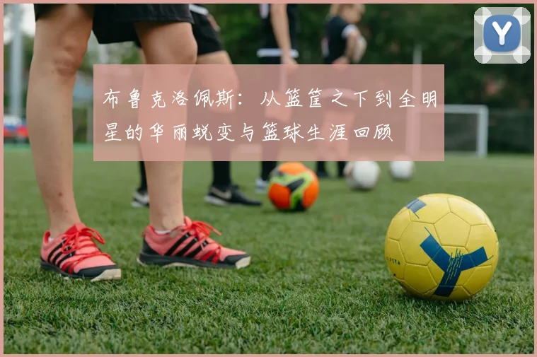 布鲁克洛佩斯：从篮筐之下到全明星的华丽蜕变与篮球生涯回顾