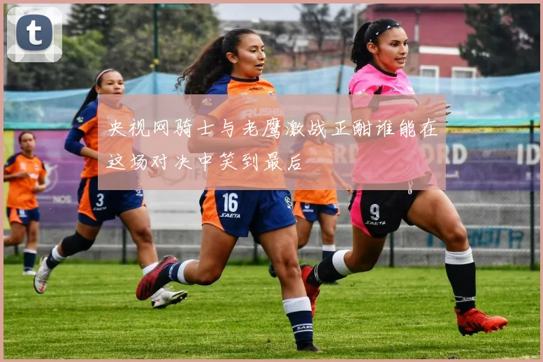 央视网骑士与老鹰激战正酣谁能在这场对决中笑到最后