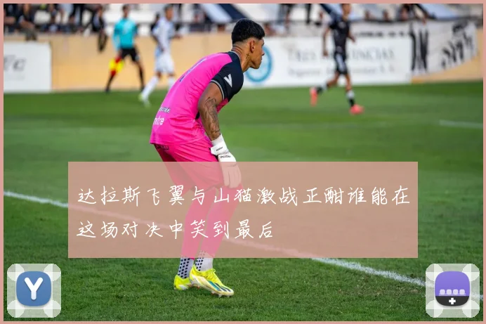 达拉斯飞翼与山猫激战正酣谁能在这场对决中笑到最后