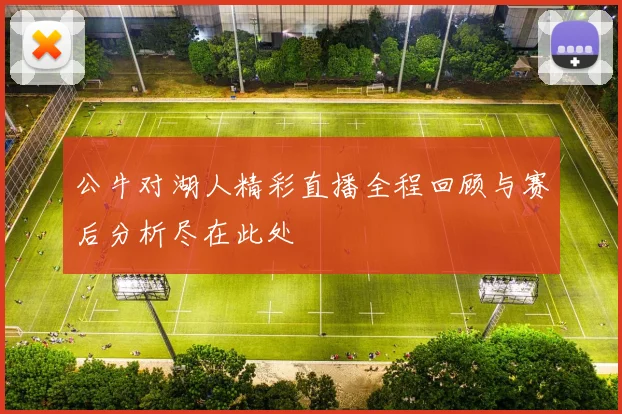 公牛对湖人精彩直播全程回顾与赛后分析尽在此处