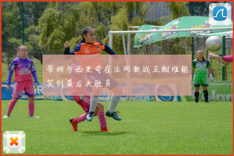 蒂姆与西里奇在法网激战正酣谁能笑到最后决胜负