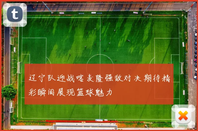 辽宁队迎战喀麦隆强敌对决期待精彩瞬间展现篮球魅力