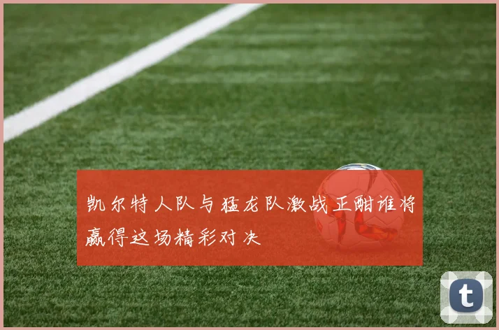 凯尔特人队与猛龙队激战正酣谁将赢得这场精彩对决
