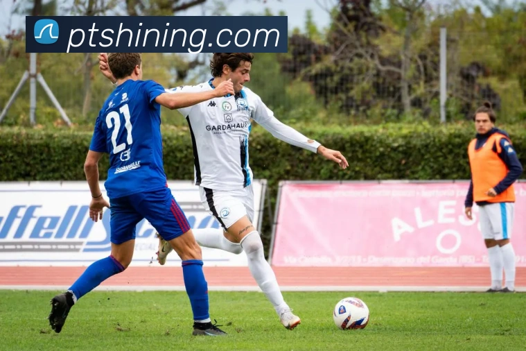 bevictor伟德发展历程